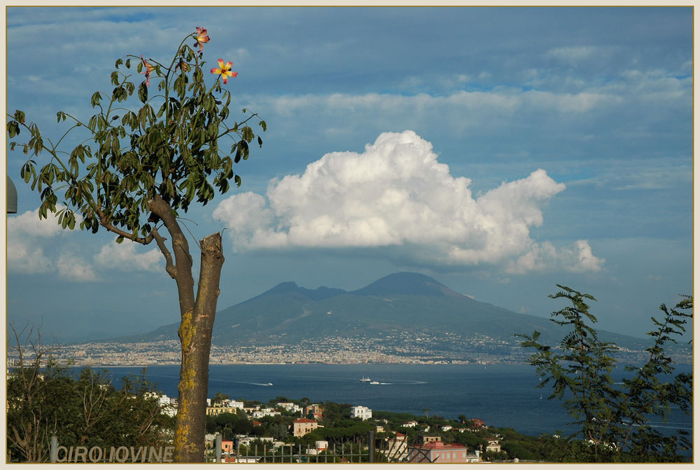 "IL CAPPELLO"