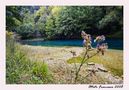 Il cardo accanto al lago von Francesco Ottato