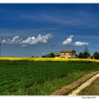 Il casale abbandonato