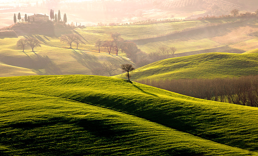 Il casale e gli alberi