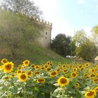 Il castello della Rancia, comune di Tolentino (MC)
