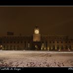 " Il castello di Carpi "