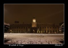 " Il castello di Carpi "