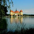 Il castello di Moritzburg