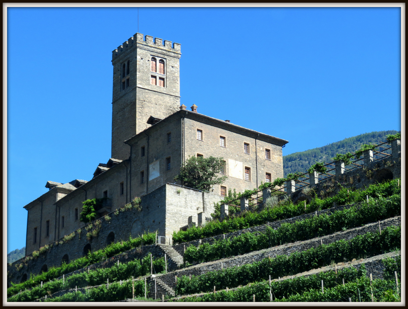 Il castello di Sarre