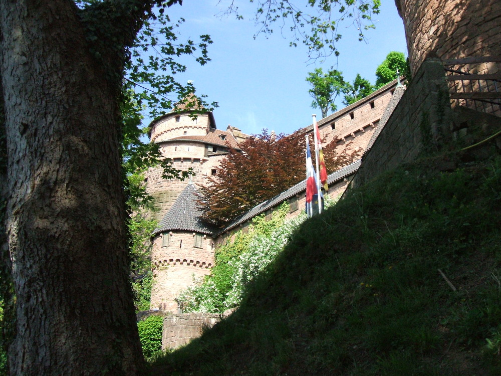 il castello fra gli alberi