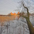 Il castello in mezzo al lago