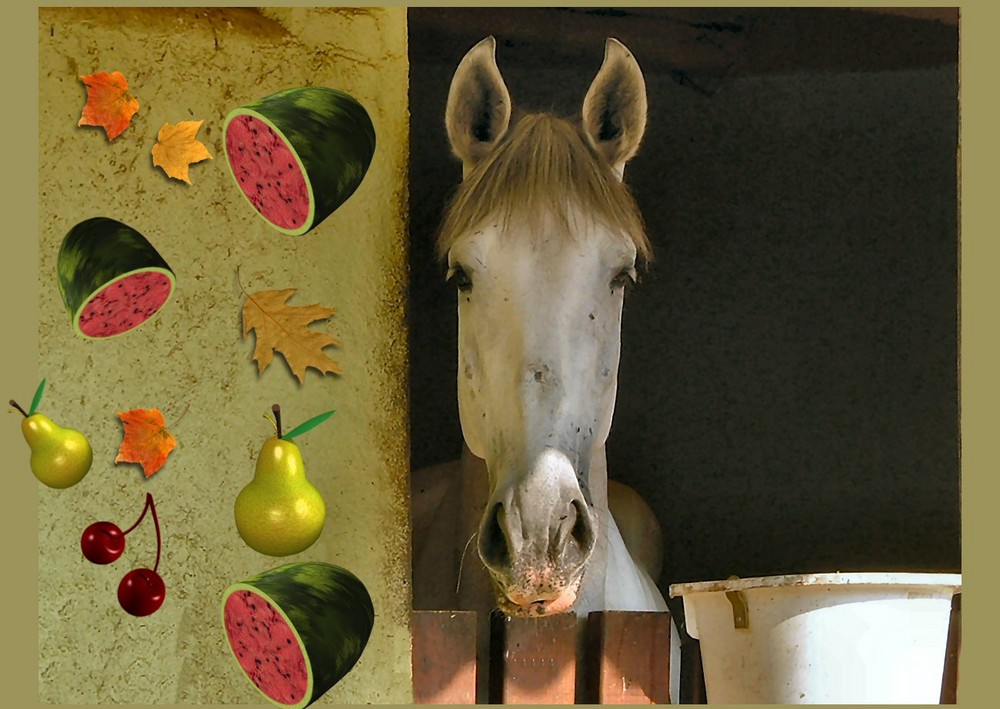 Il cavallo bianco...sogna con frutta!!!