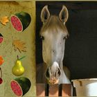 Il cavallo bianco...sogna con frutta!!!