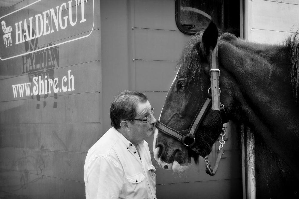 Il cavallo che sussurrava agli uomini