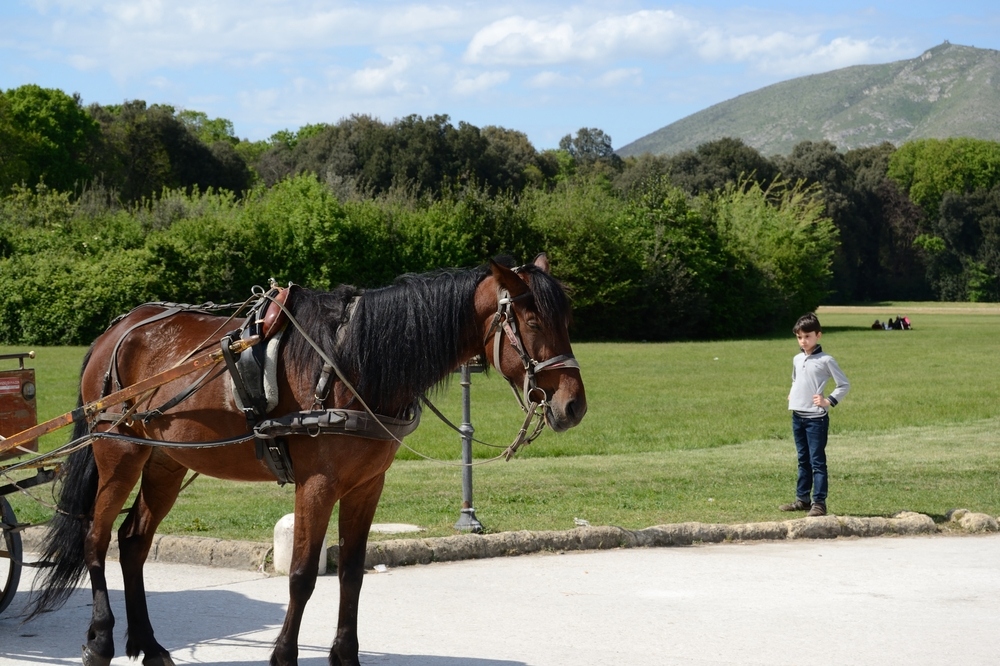 Il cavallo ed il bambino