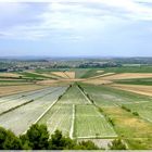 il centro nel campo