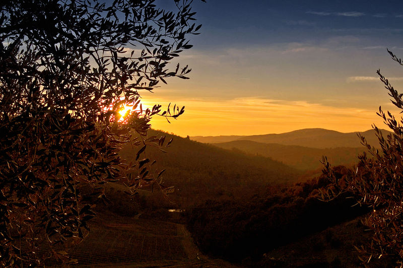 Il Chianti e le sue colline