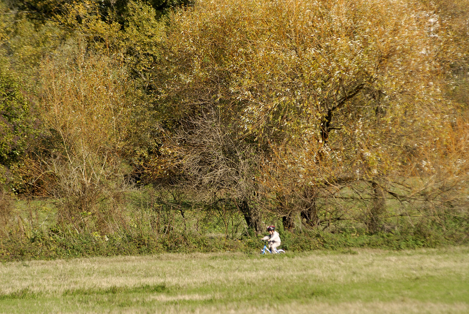 Il ciclista in erba