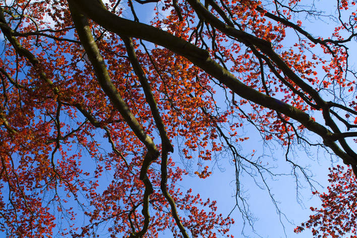 il cielo a colori