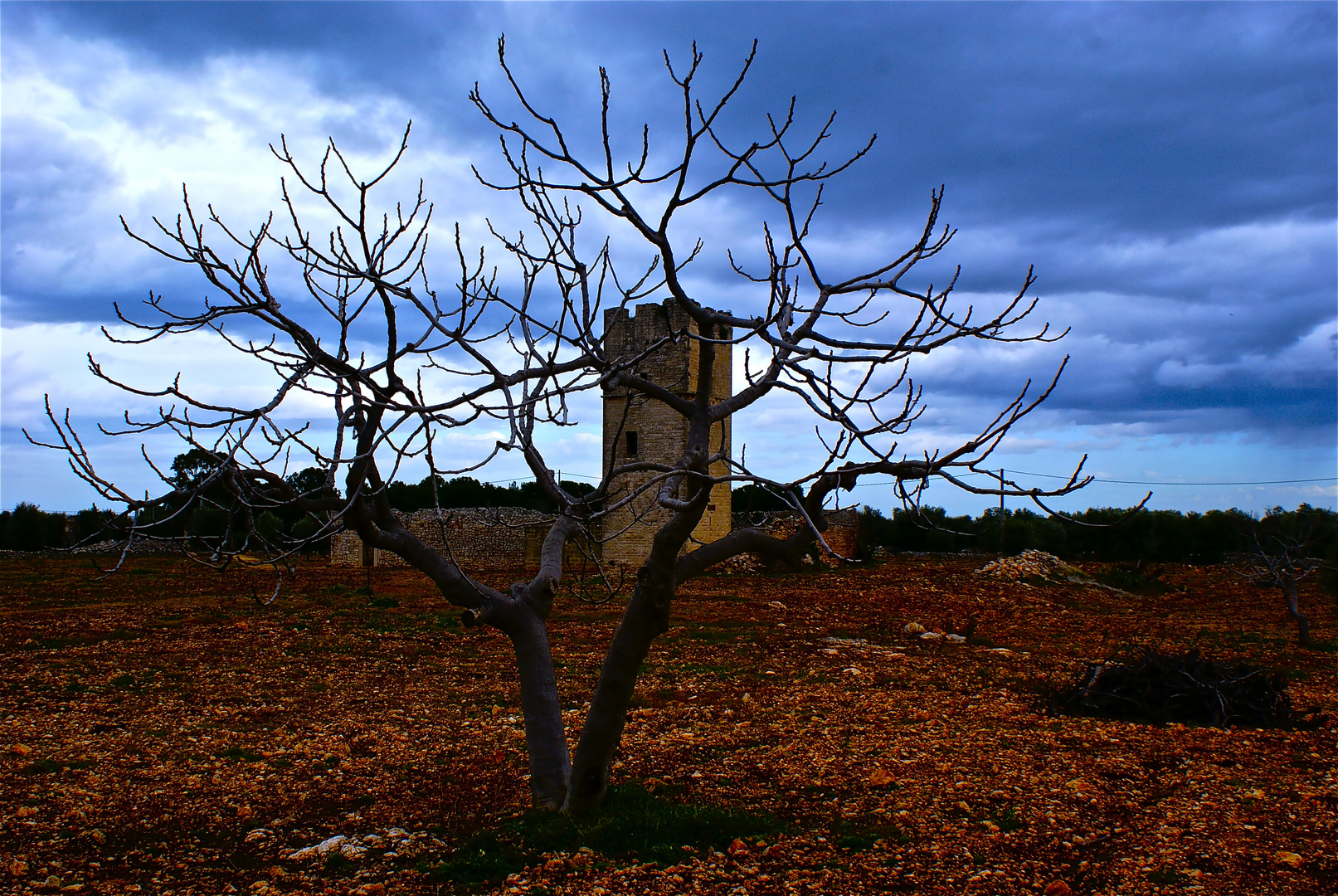 Il Cielo e' blù