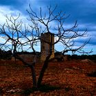 Il Cielo e' blù