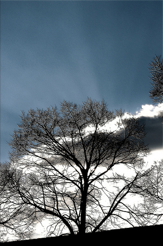 Il cielo è blu sopra le nuvole