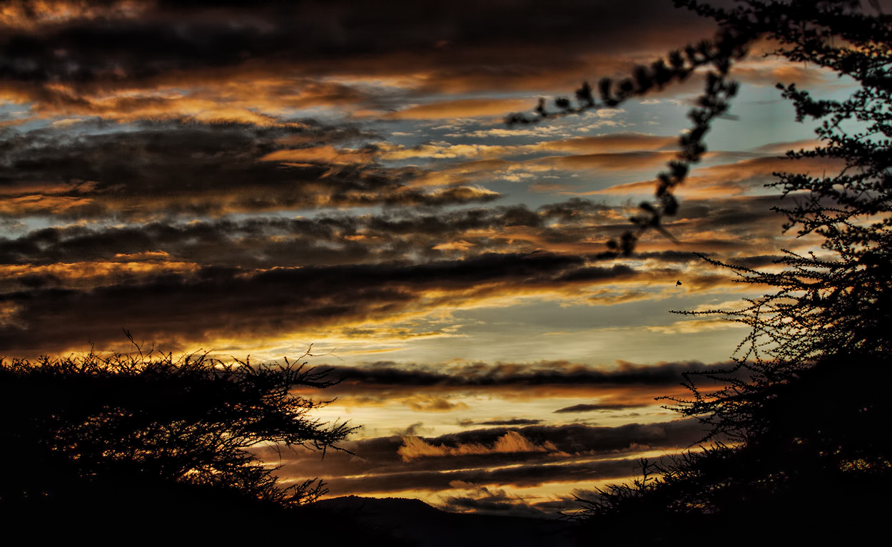 Il cielo in Africa