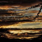 Il cielo in Africa