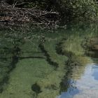 Il cielo in uno stagno