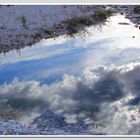 il cielo nella pozza