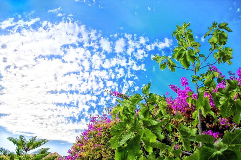 Il cielo "Sardo"