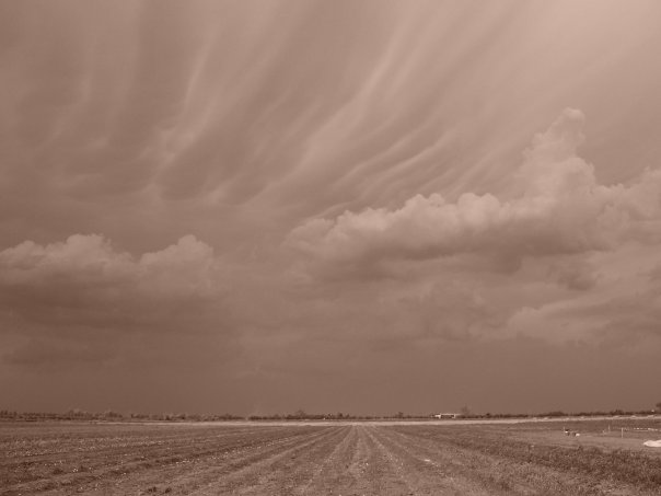 il cielo sopra Poviglio