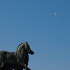 Il cielo sopra ...Roma