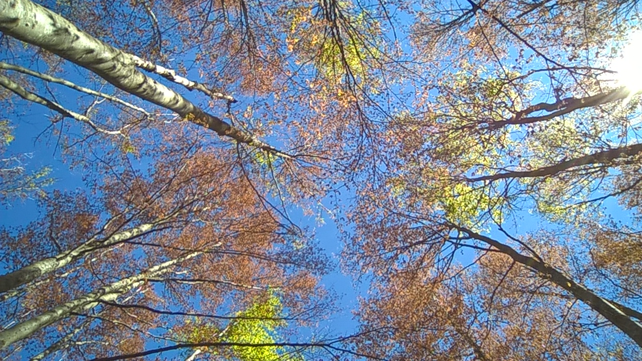 il cielo su Piana Grande