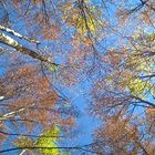 il cielo su Piana Grande