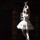 "Il cigno"dal balletto Lago dei cigni