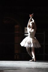 "Il cigno"dal balletto Lago dei cigni