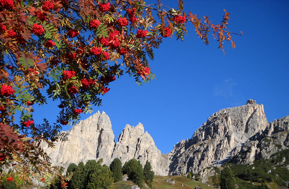 IL CIR DAL PASSO GARDENA