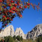 IL CIR DAL PASSO GARDENA