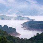 il Coghinas sotto la nebbia