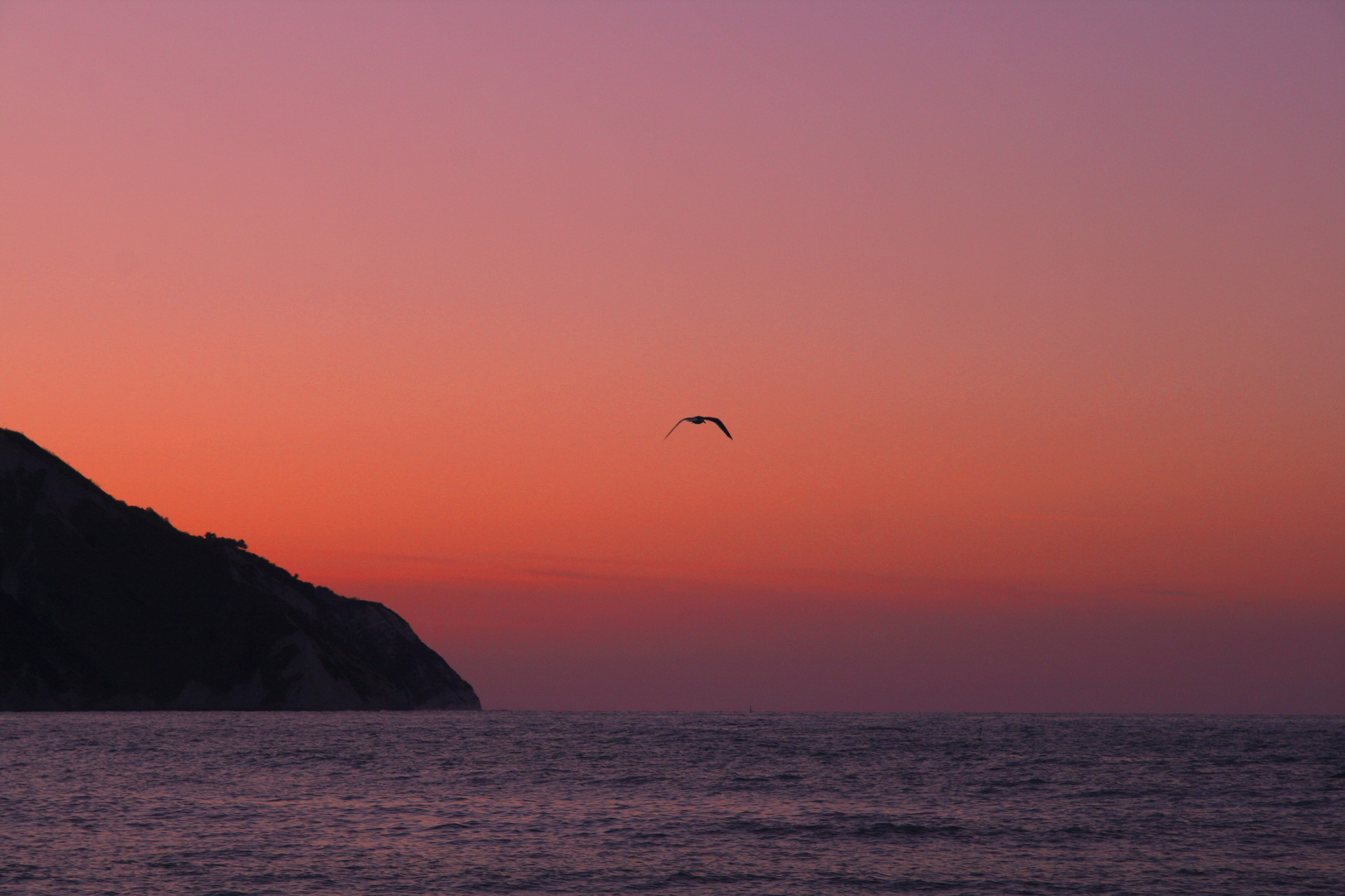 Il colore del silenzio