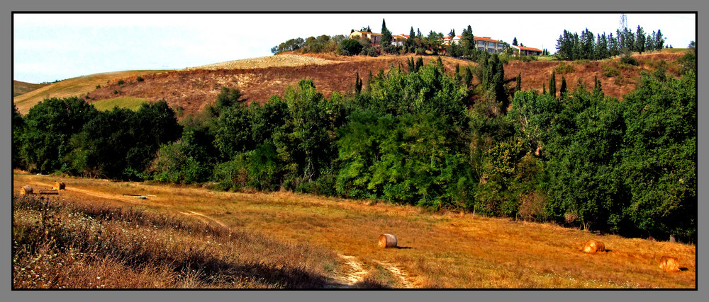 Il colore della natura