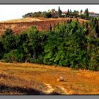 Il colore della natura