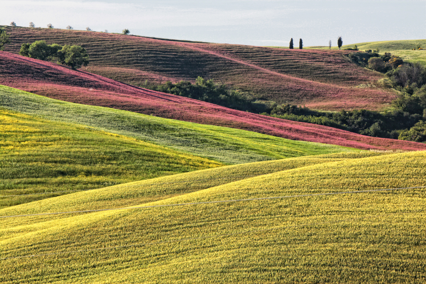 Il colore della primavera