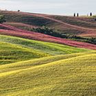 Il colore della primavera