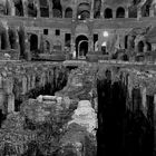 Il Colosseo come appare alla Luna ogni sera