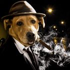 Il commissario Dog Labrador e Catwoman