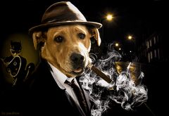 Il commissario Dog Labrador e Catwoman