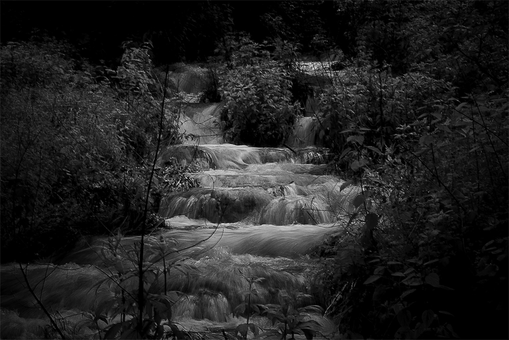 Il concerto del ruscello nel bosco