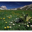 Il Corno grande visto da Campo Imperatore