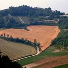 il cuore del Monferrato