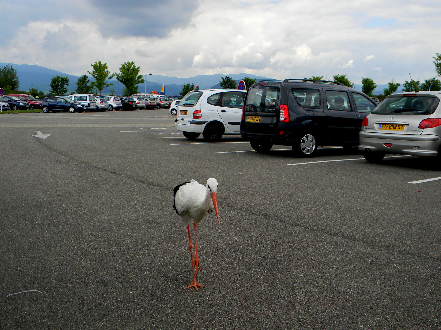 il custode del parcheggio