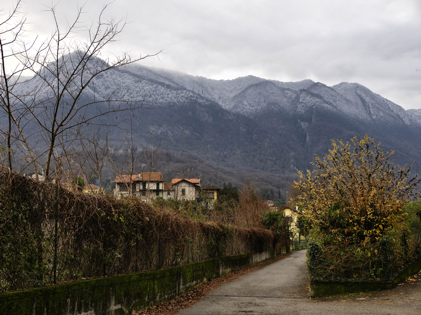 Il Cuvignone da Castello