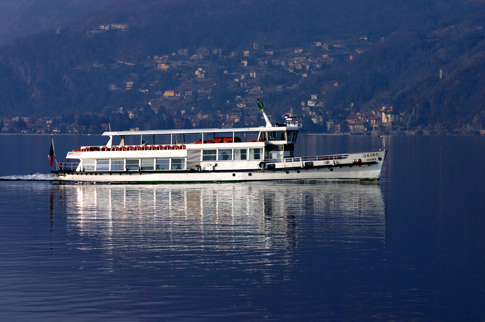 Il Daino sul Lago Maggiore